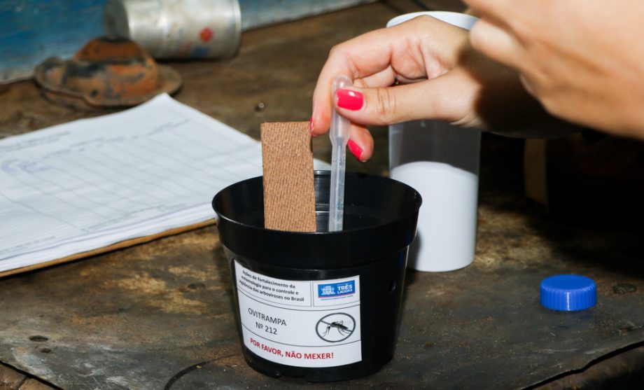 Projeto em Porto Nacional usa armadilhas para identificar focos do Aedes aegypti